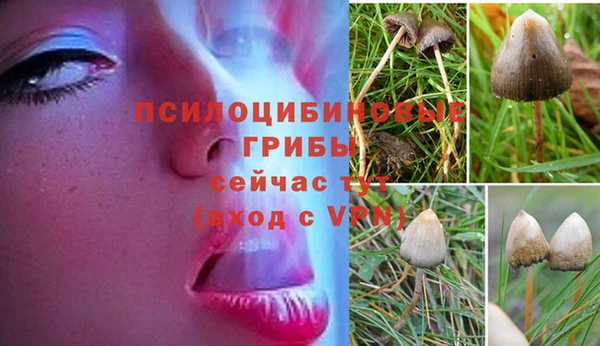 apvp Володарск