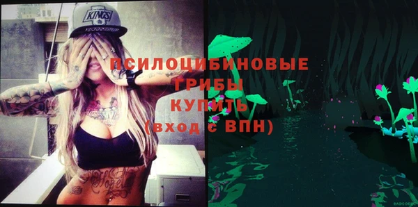 apvp Володарск