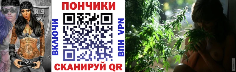 Конопля Ganja  продажа наркотиков  Владикавказ 